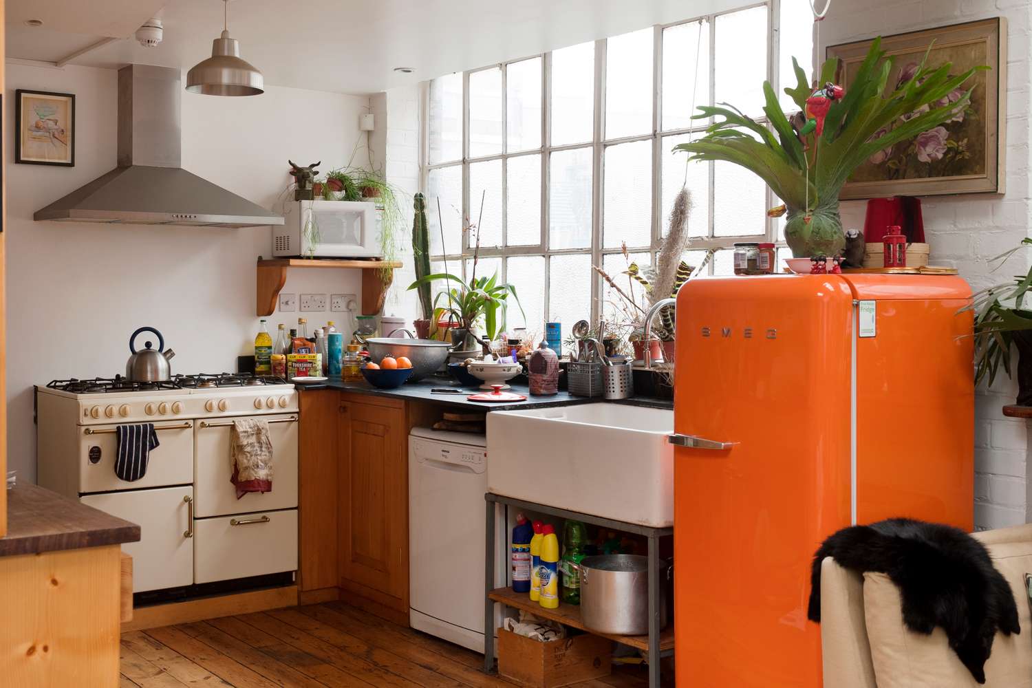 Appliances Reviews: Performance, Energy Use, and Value