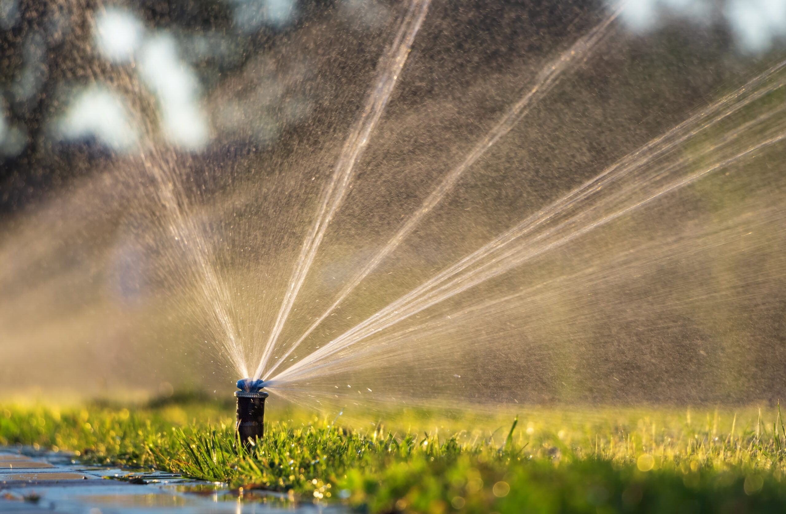 Trusted Expert Drainage Services in Azle , TX by Experienced Professionals