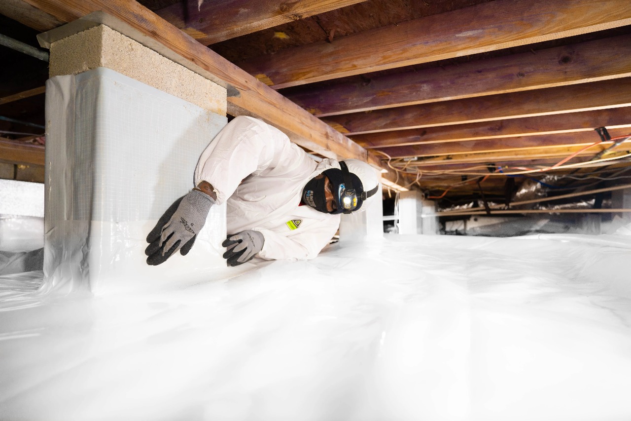 Crawl Space Restoration for Long-Lasting Results