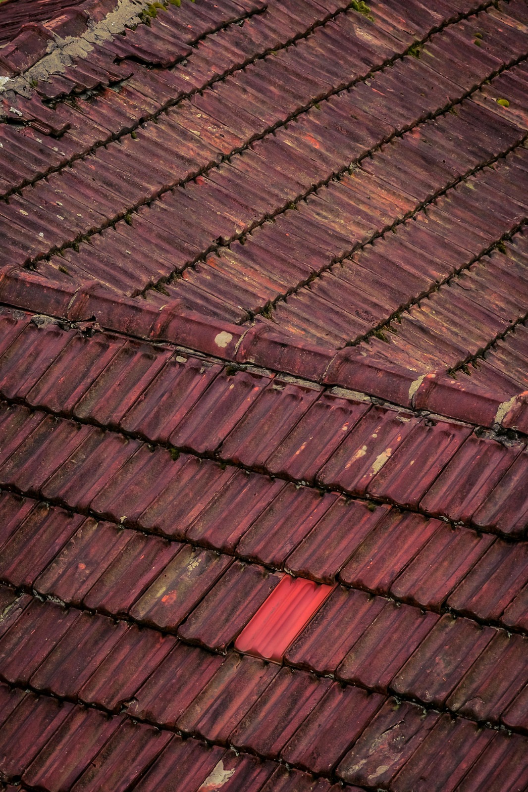 Roofing in Covington, LA with Transparent Pricing and Honest Guidance
