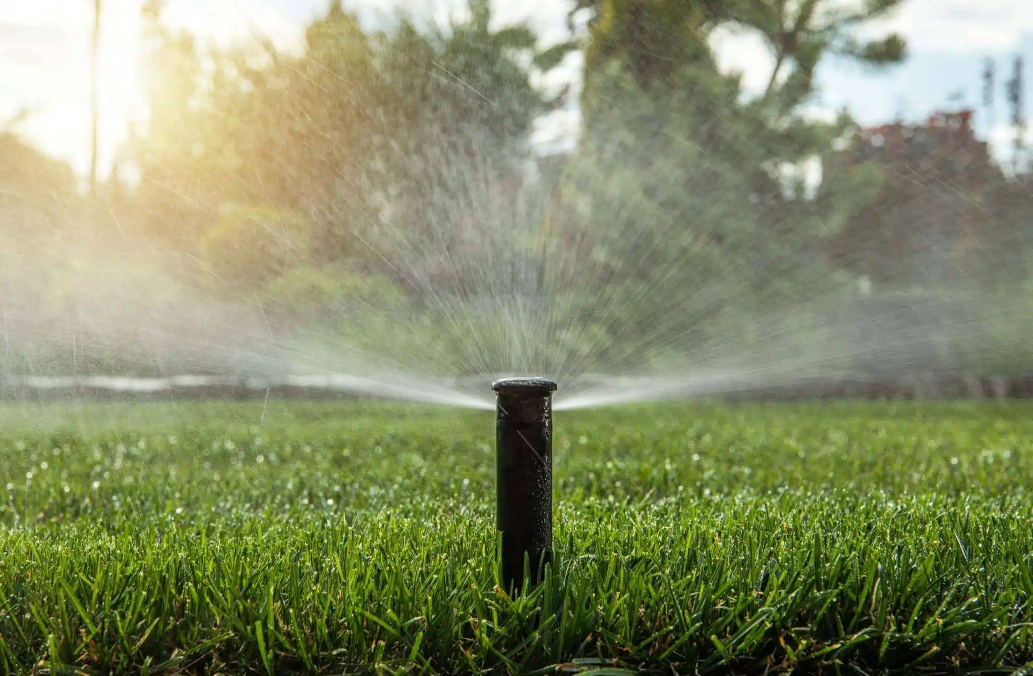 The Sprinkler Company Inc | Trusted Landscape Sprinkler Company