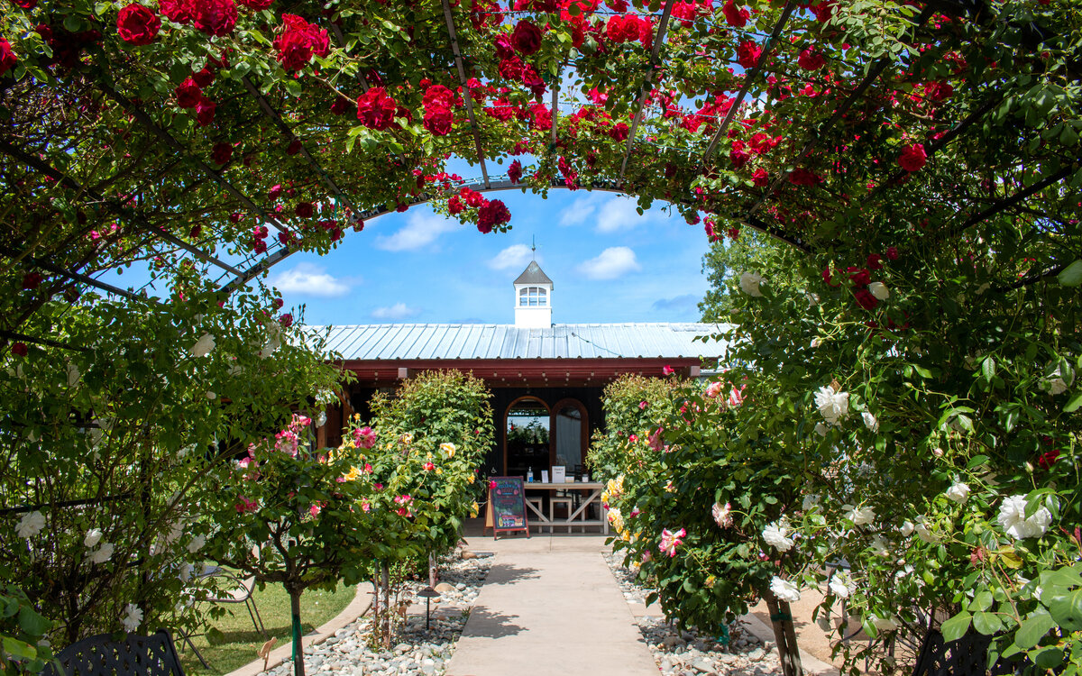 Top-Rated Clarksburg Tours in California