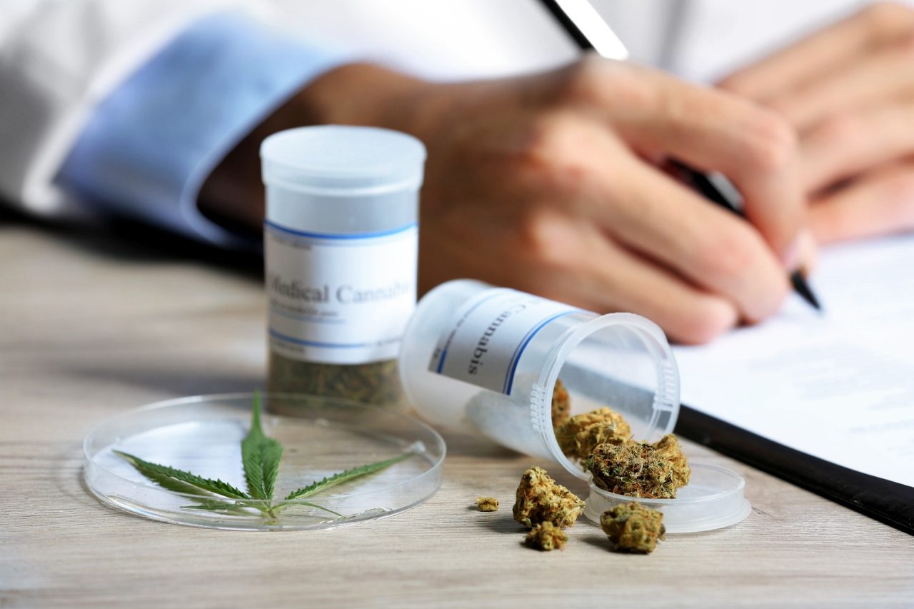 Cannabis club hamburg – Sicherer Zugang für Mitglieder