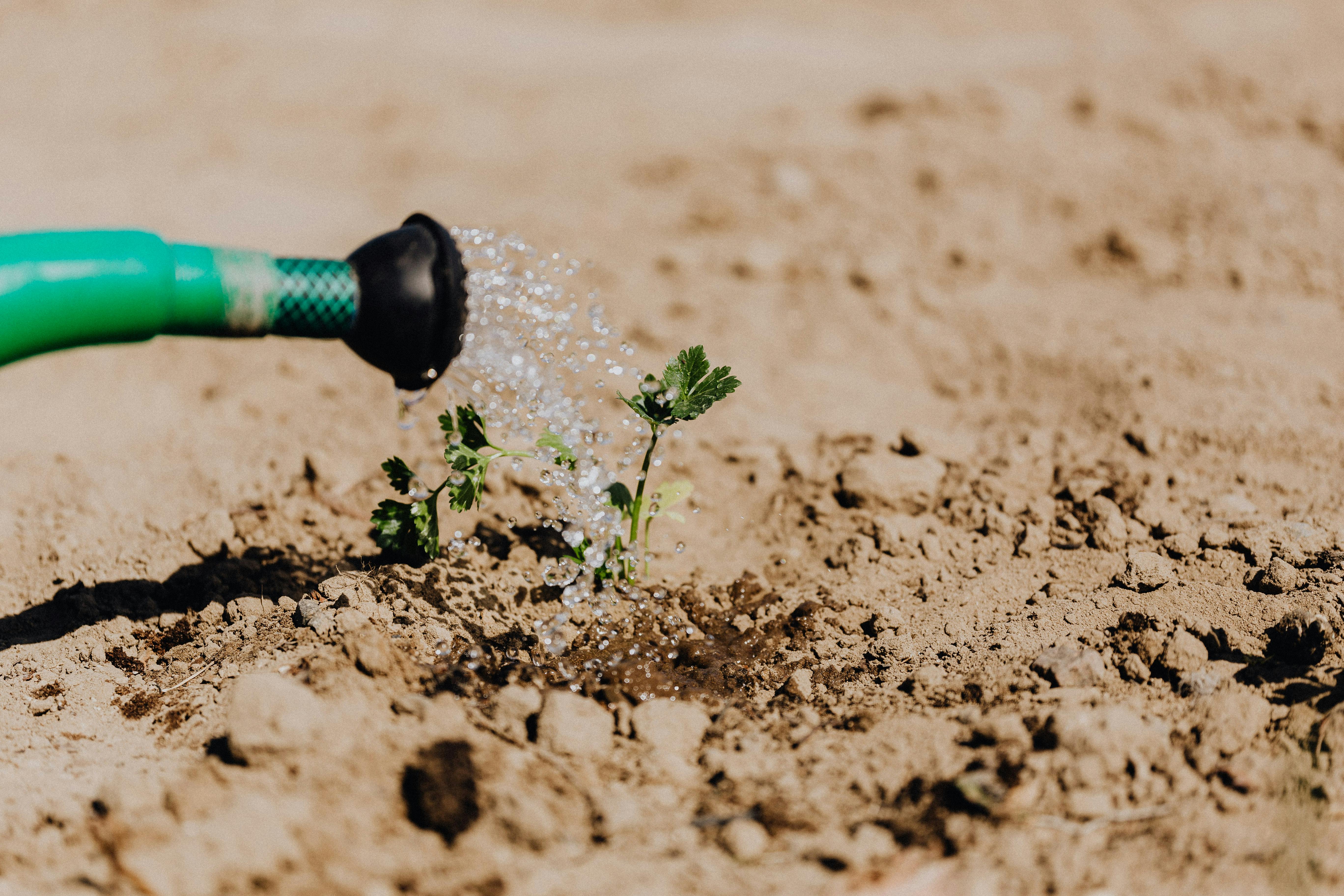 KEEP YOUR LAWN HEALTHY WITH PROFESSIONAL IRRIGATION SERVICES IN HASLET, TX