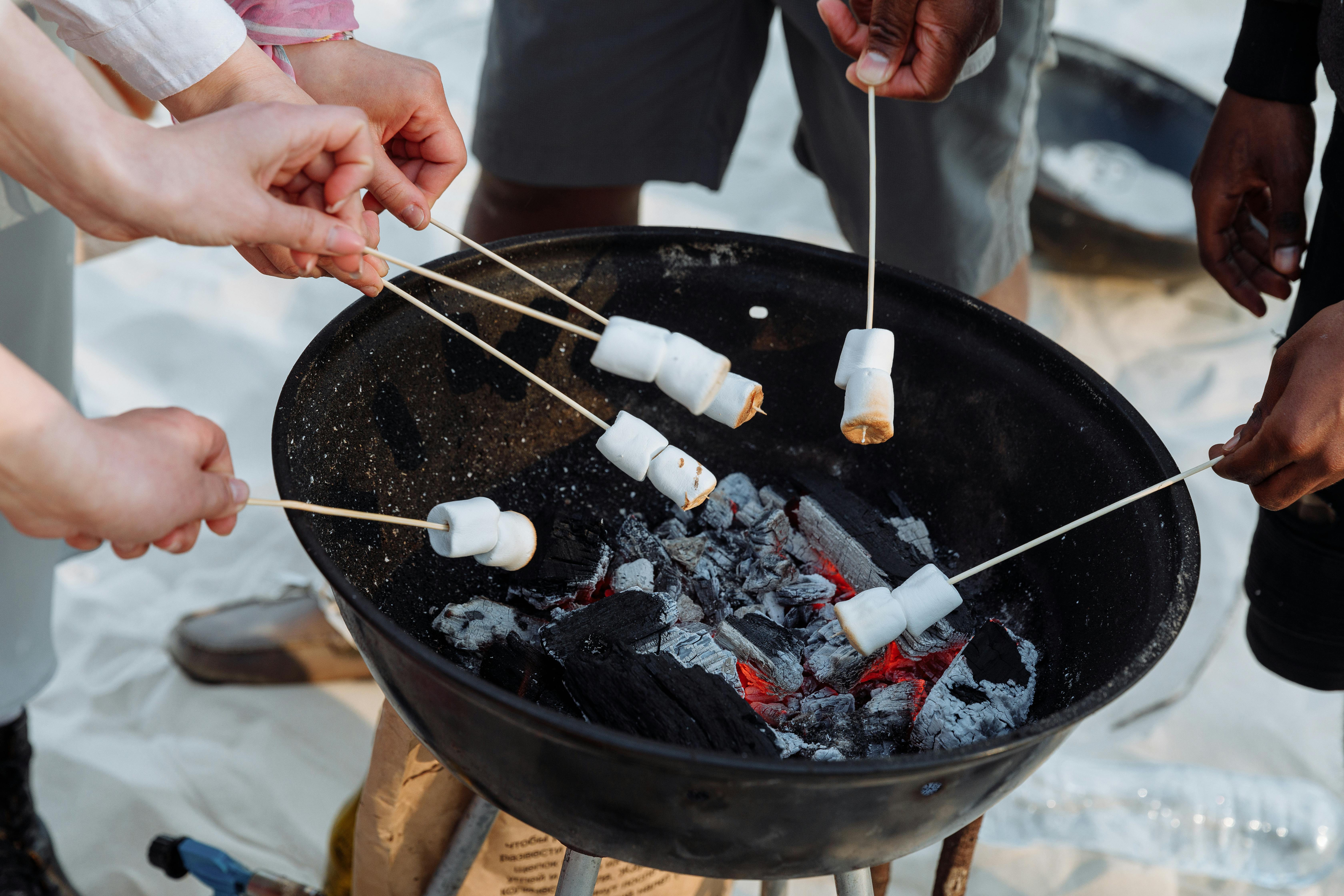 Hardwood Charcoal Italy: Premium Fuel for Efficient Grilling