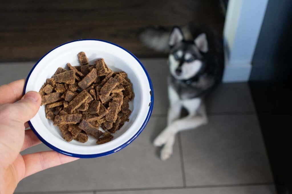 The Importance of No Fillers in Badlands Ranch Dog Food