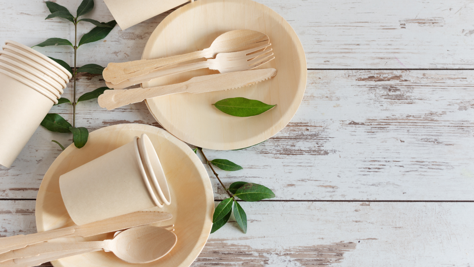 Why Choose Eco Friendly Disposable Plates for Sustainable Gatherings