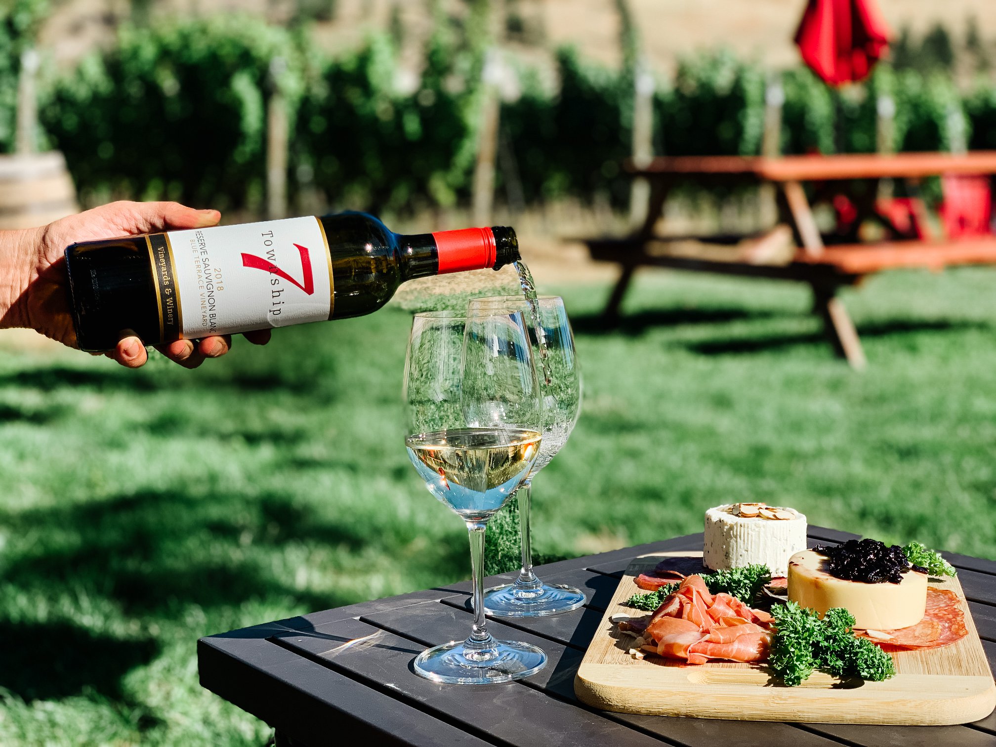 Explore Vineyards with Guided Langley Wine Tours