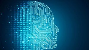 WhatsApp Image 2026-01-17 at 5.07.22 PM